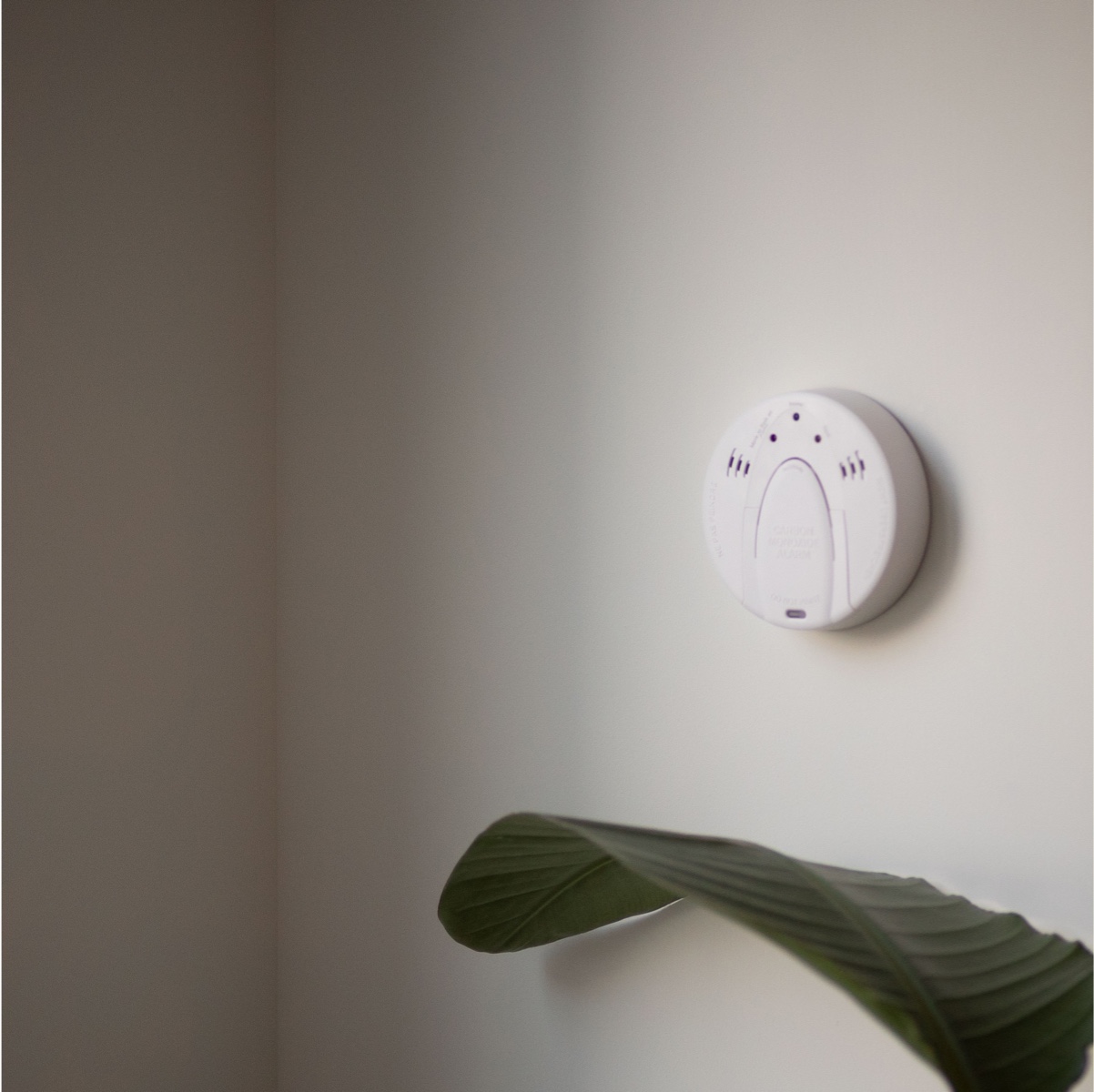 carbon monoxide detector on wall