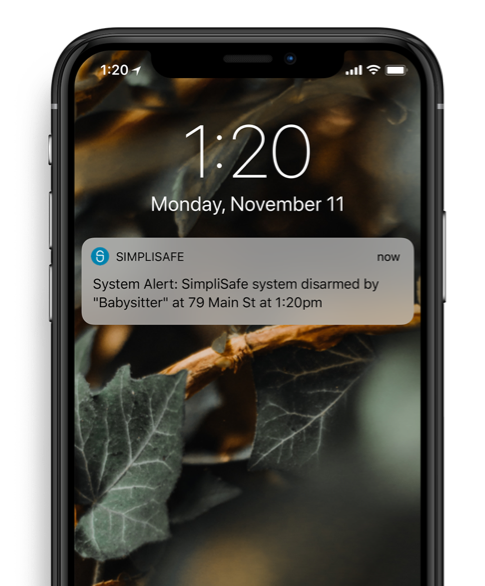 Get notified when your system detects activity