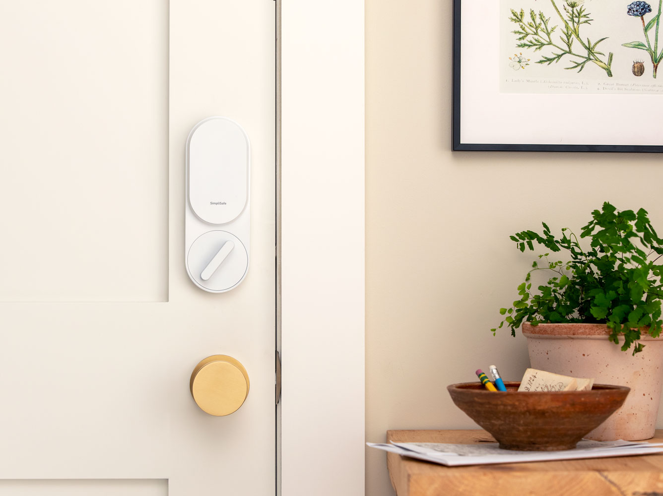 Smart Lock Mounted on Front Door